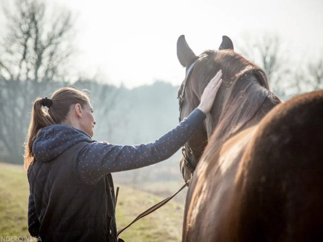 In hartsverbinding OP je paard - individueel op jouw locatie