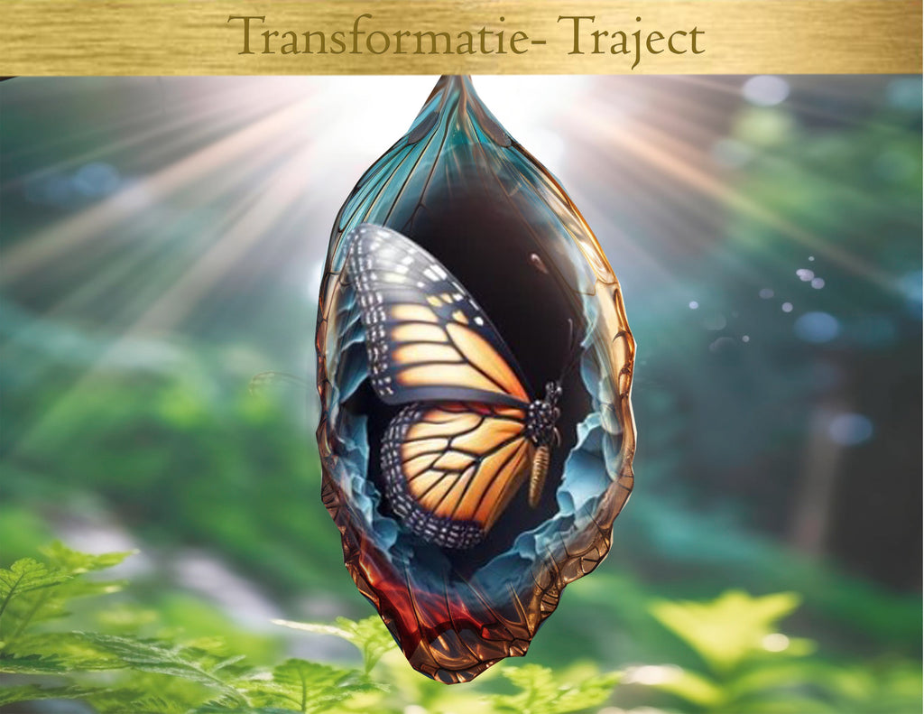 Transformatie Traject - met individuele begeleiding - IN 10 TERMIJNEN