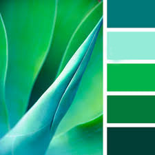 Palet: Tropical Greens