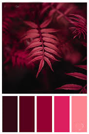 Palet: Sober Pink