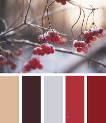 Palet: Earth-toned Winter