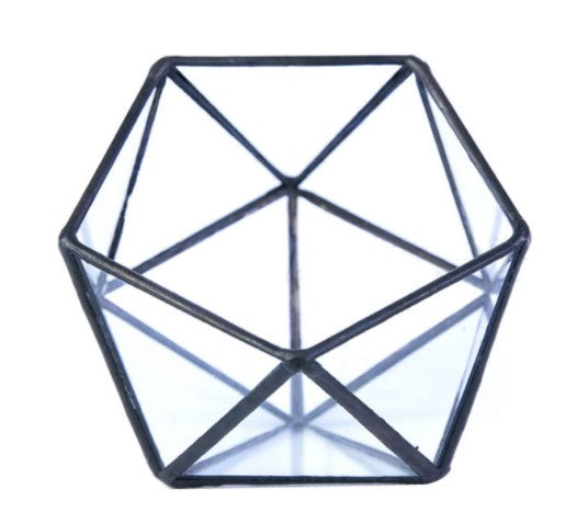 Glazen Display - Open Geometrische vorm
